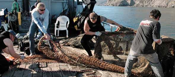 volunteer at sea