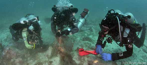 Three divers