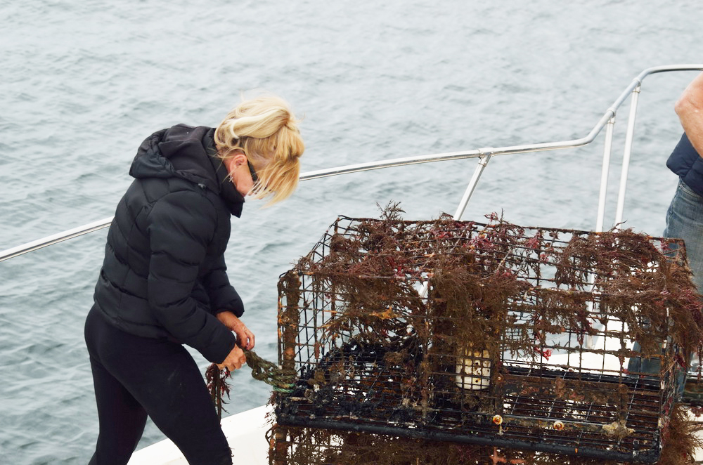 Darlene securing lobster traps