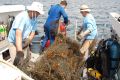 Crew hauling net onto stern 2 resize
