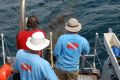 Crew hauling net out of the water 1 resize