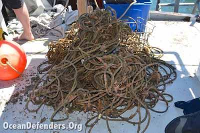 A tangled mess of marine debris pulled up by our incredible volunteer divers.