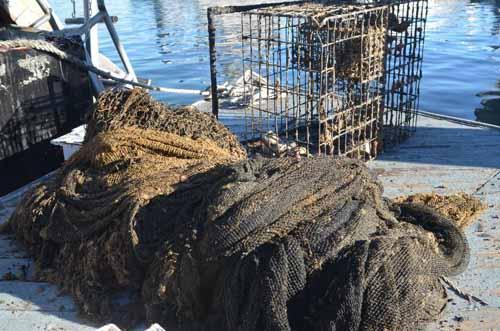 Pile of net and trap on dock
