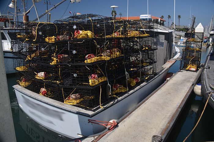 Lobster boat loaded with traps