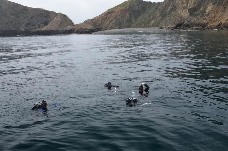 ODA Divers in the water, ready to haul out marine debris