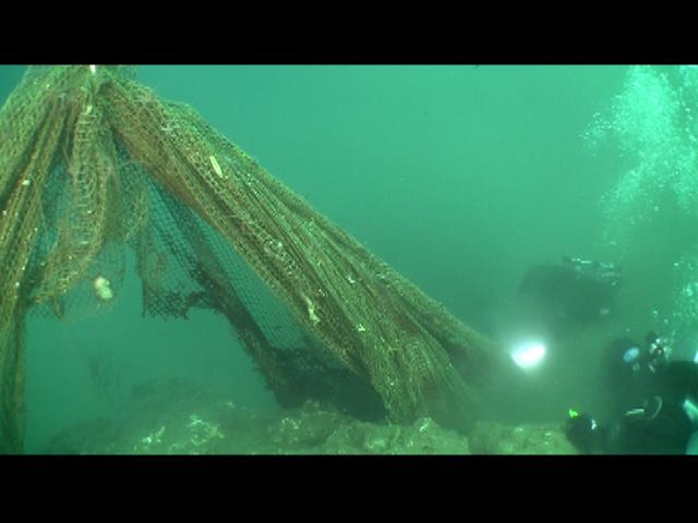 ODA Divers have affixed the abandoned squid net to the lift bags in order to float them up so that the removal team can tow it to the boat for removal.