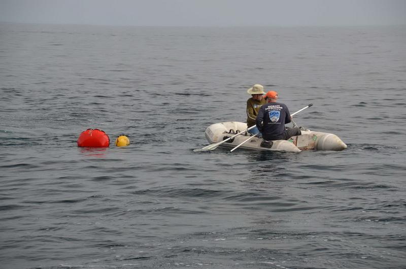 ODA Volunteers Jim Lieber and Tim Pearson in Zodiac, spot lift bags which indicate that ocean debris has been floated to the surface for retrieval