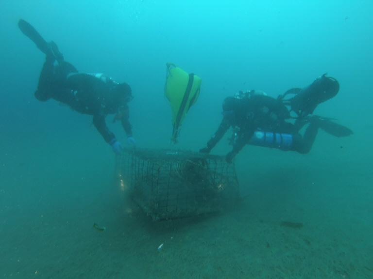 Ocean Defender divers and lobster trap - adding float bag