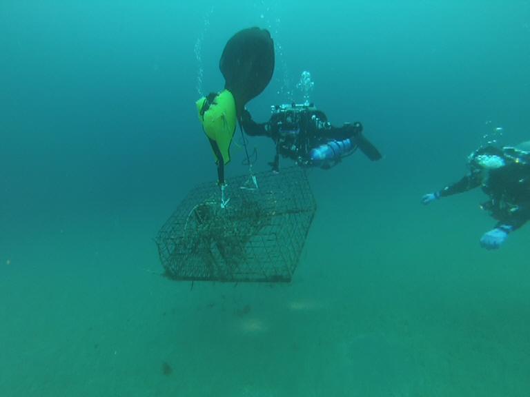 Ocean Defender divers and lobster trap, the float bag begins to life