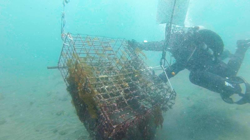 ODA Divers attach a lift bag and float an abandoned lobster trap to the surface for removal