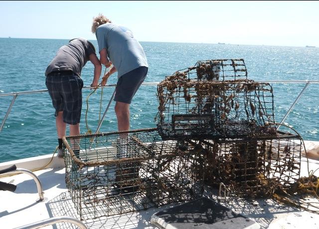 ODA Boat Crew haul up abandoned lobster traps