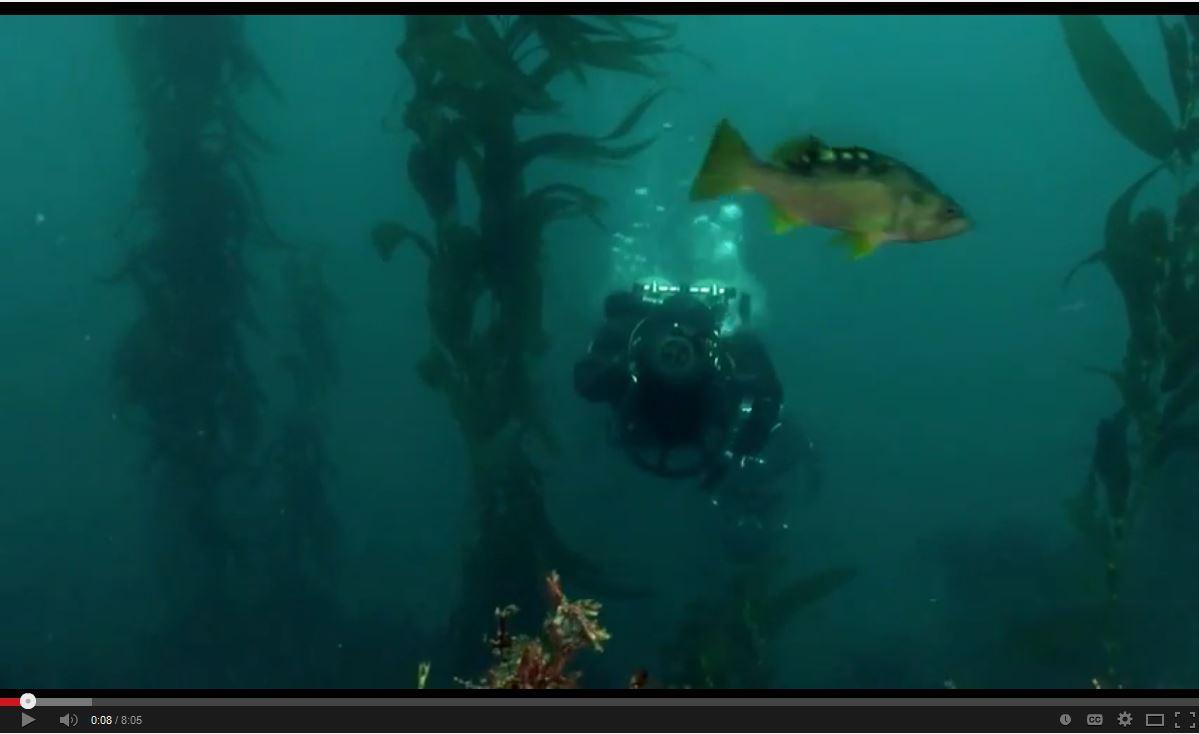 video of Defenders of the Deep