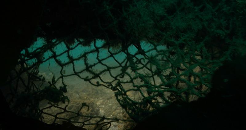 Photograph from inside an abandoned fishing net