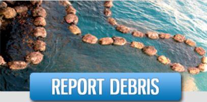 Ocean Defenders online Debris Report form