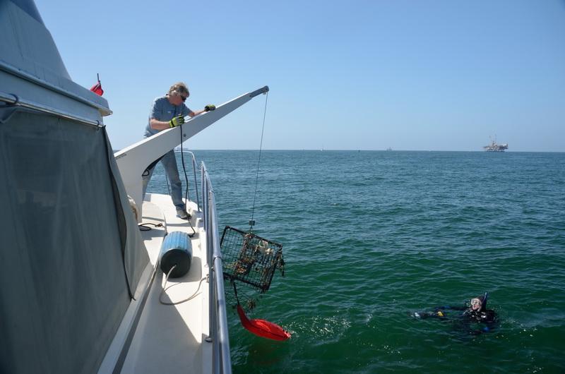 Ocean Defenders pulling ghost gear on board to dispose of it