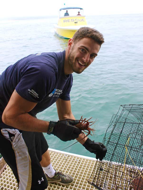 Freeing lobster from illegal trap