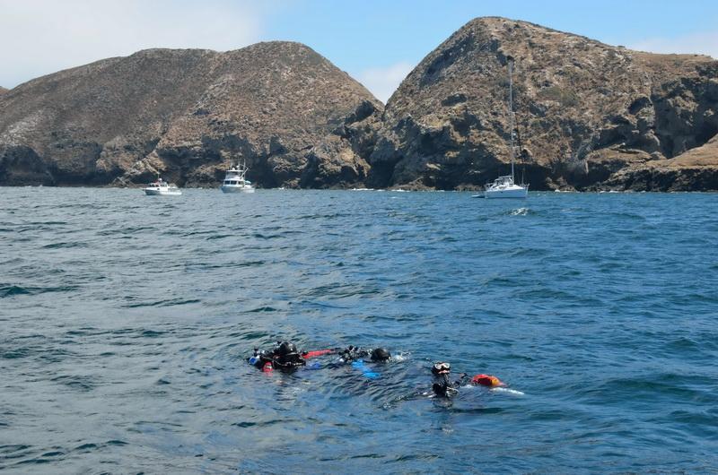 ODA Divers in water of Anacapa Island