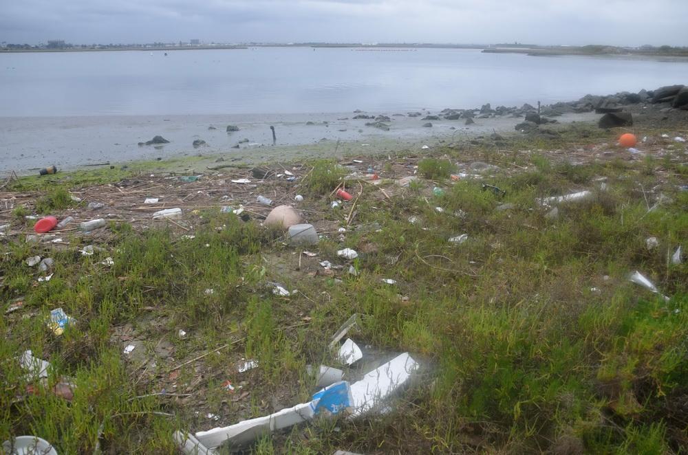 Plastic pollution in Los Alamitos Bay, CA