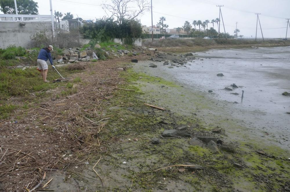 AFTER: A job well-done by the ODA Harbor Clean-up Crew