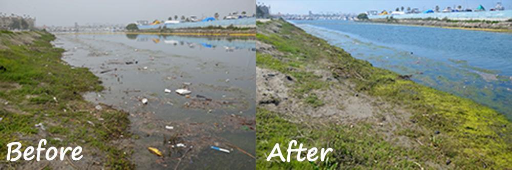 Shoreline Cleanup - before after