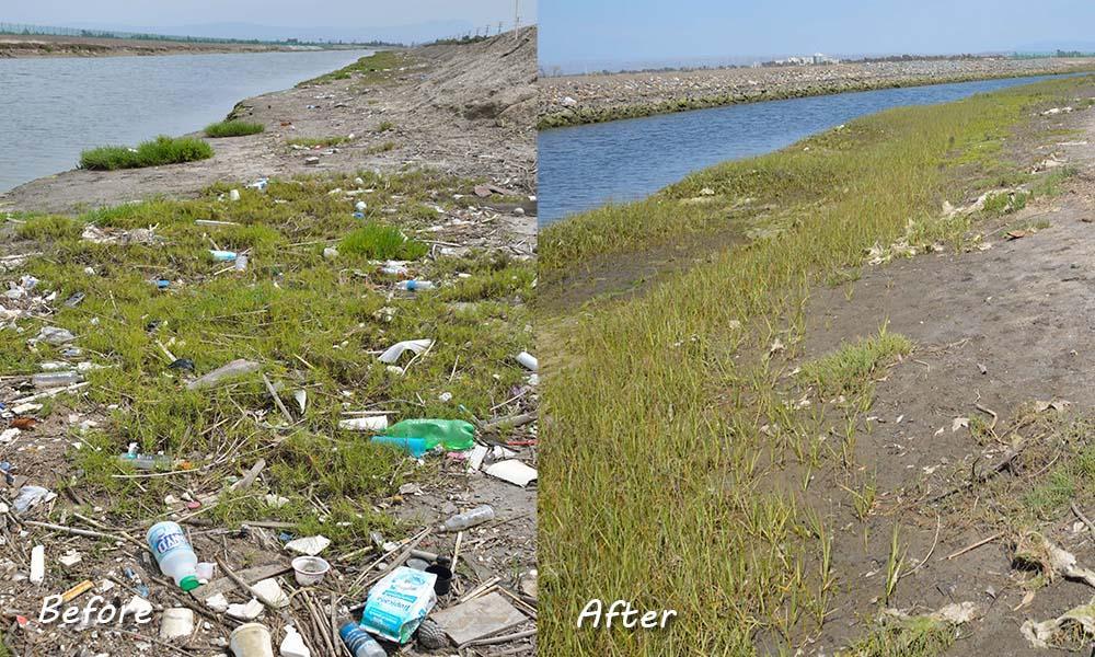 Bolsa Chica Shoreline before and after