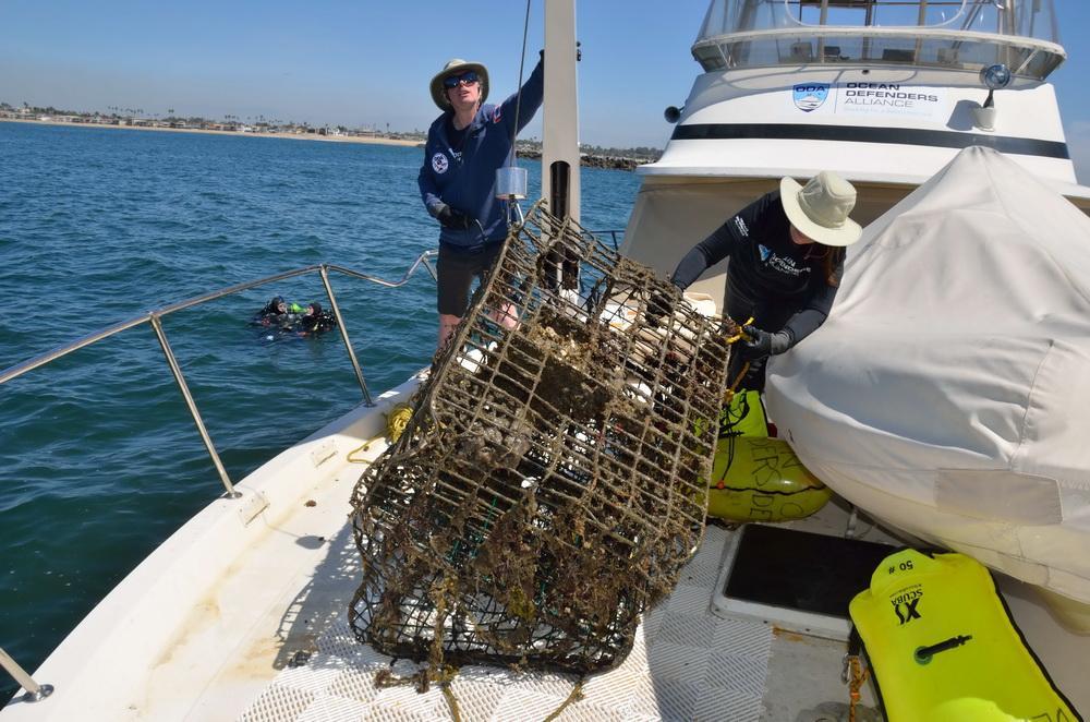 Abandoned fishing gear removed from the ocean