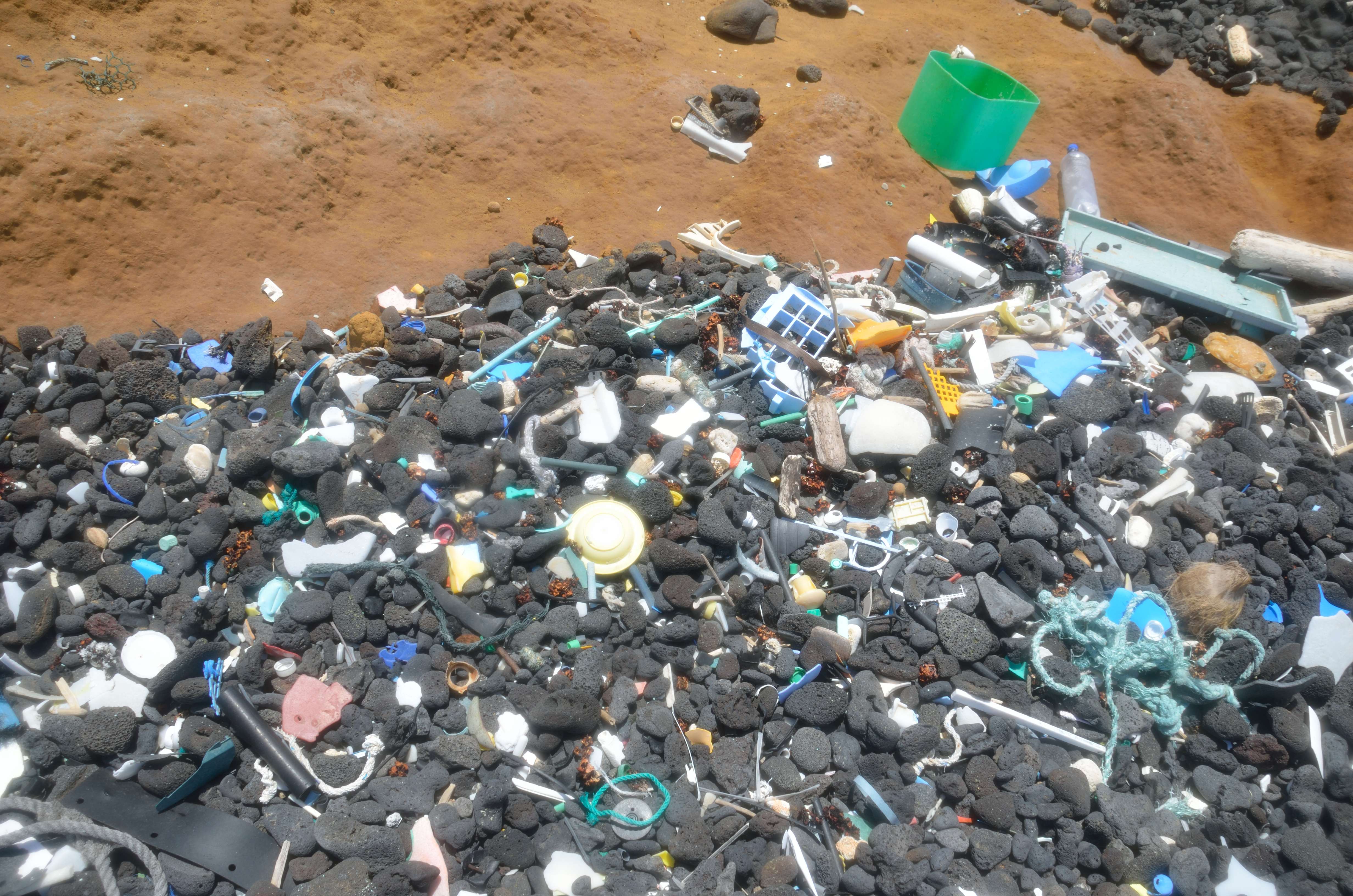 Greensand Beach plastics