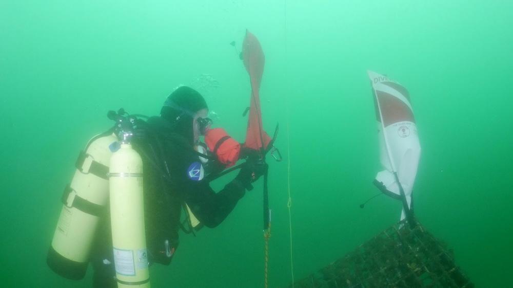 Ocean Defender volunteer diver