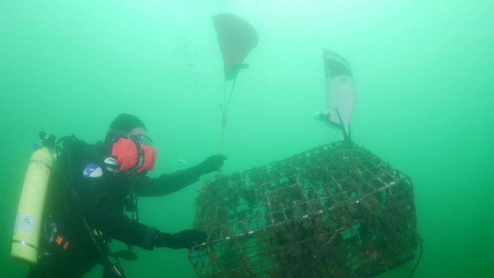 Abandoned lobster trap begins ascent to surface for removal