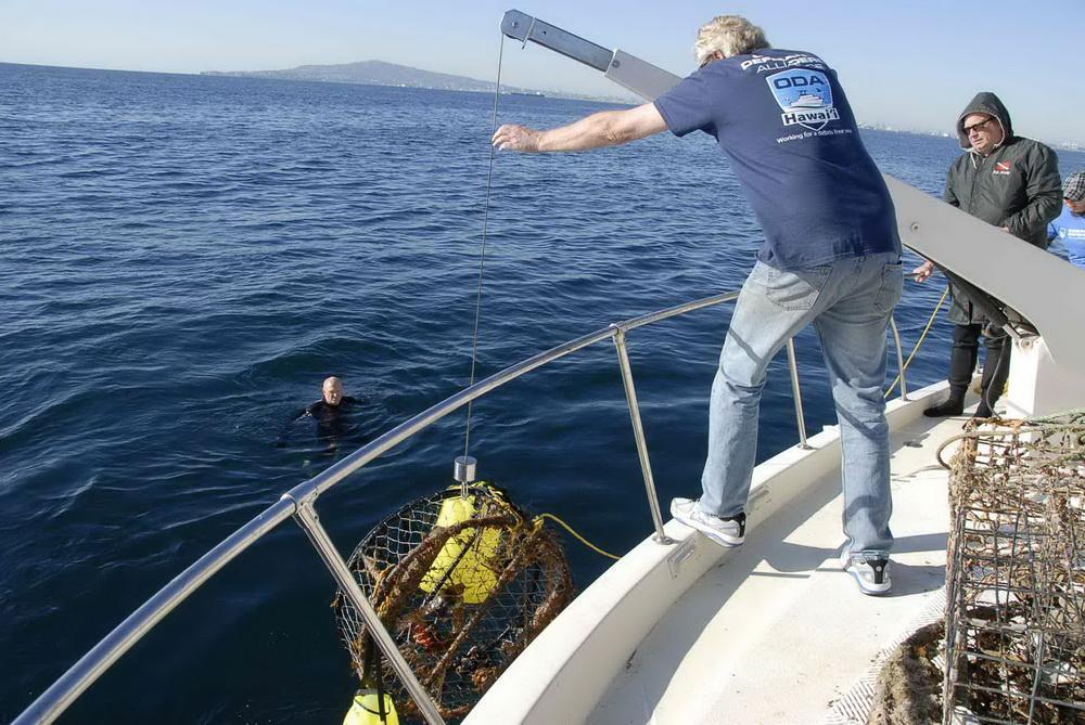 Ocean Defenders remove an illegal crab fishing trap