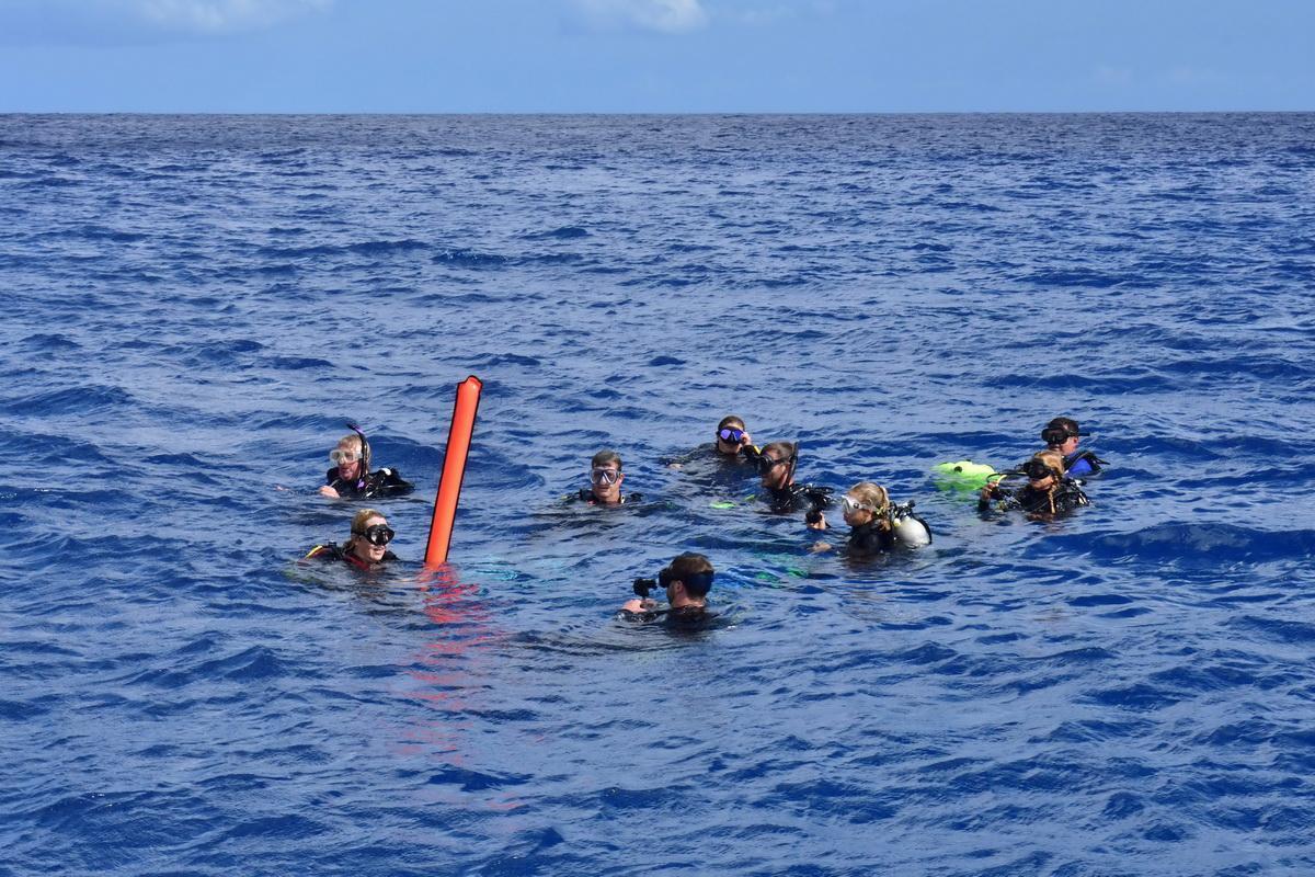 ODA Volunteer Divers at surface