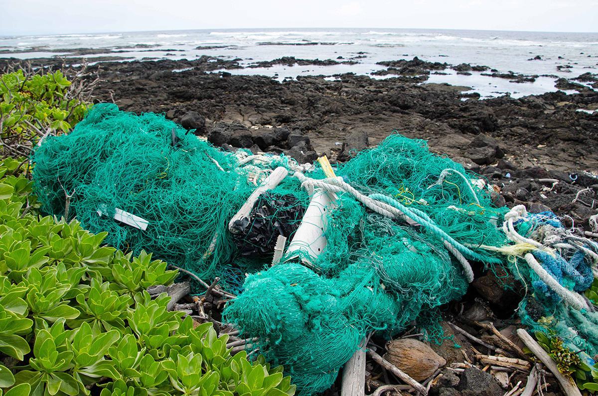 green net at high tide line
