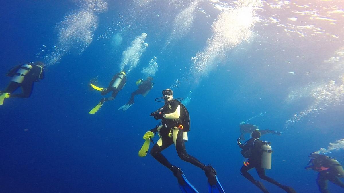 ODA Volunteer Divers plunge in