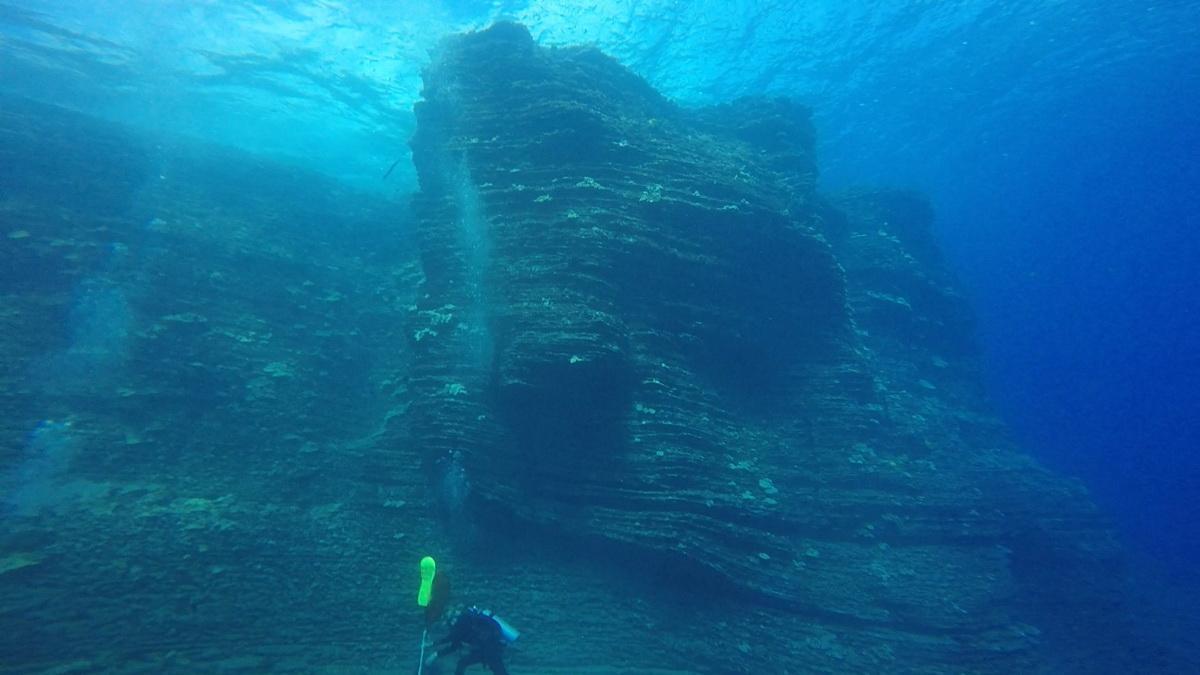 ODA Diver cleans ocean floor of debris