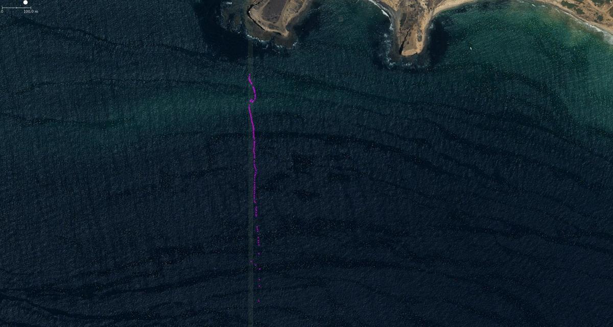 Abalone Cove set traps