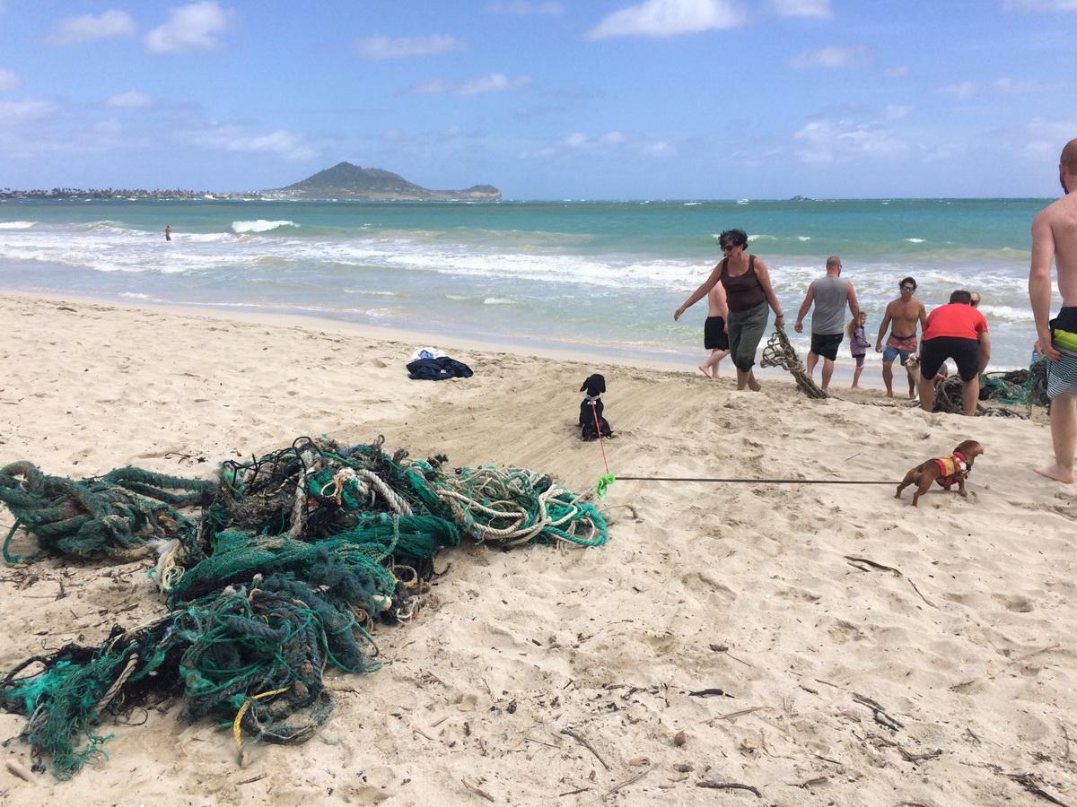 ODA-Hawaii volunteers remove huge ghost net