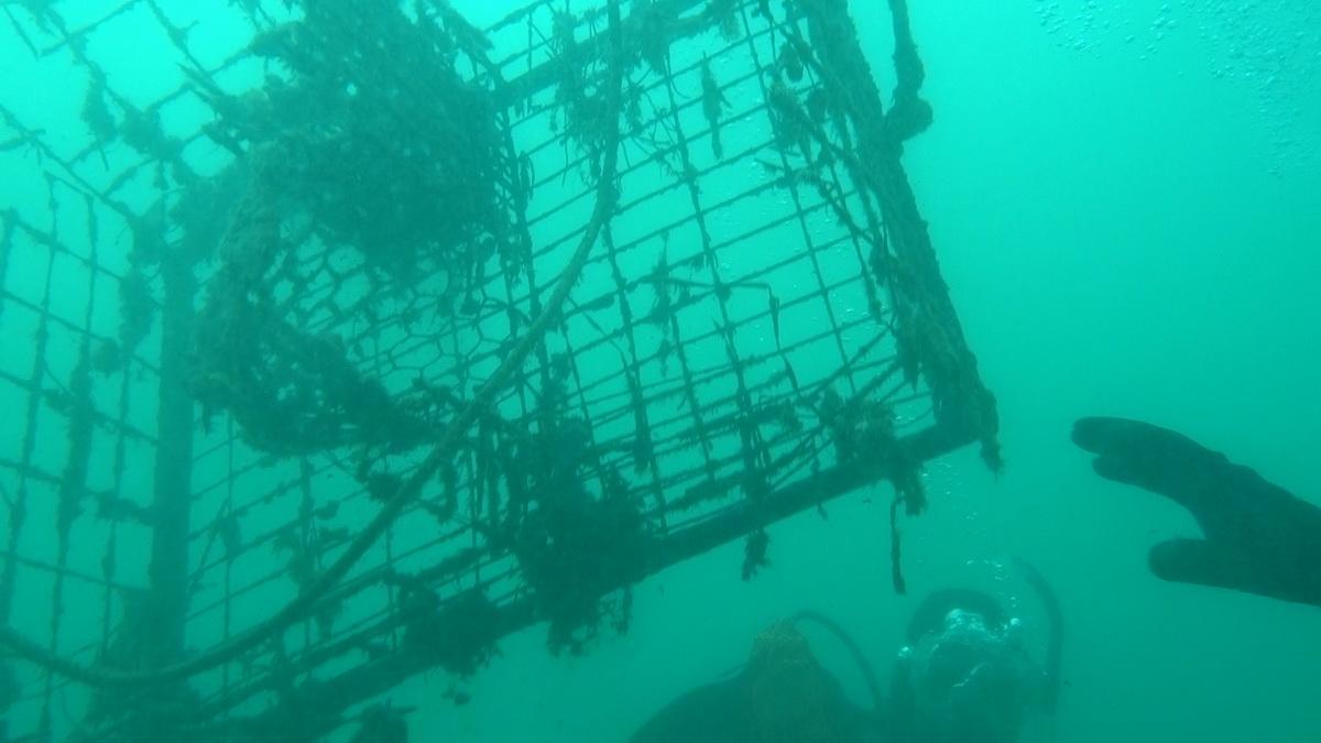 Trap being removed from ocean