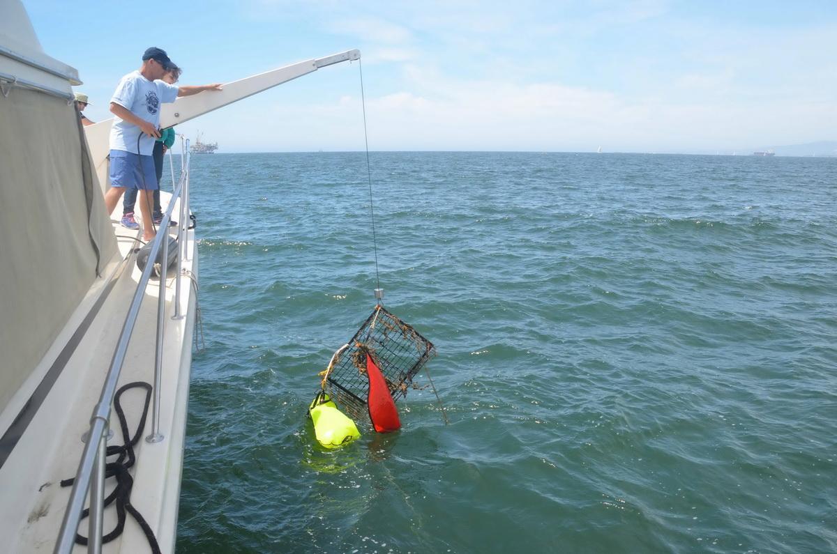 Trap on davit being pulled out of ocean
