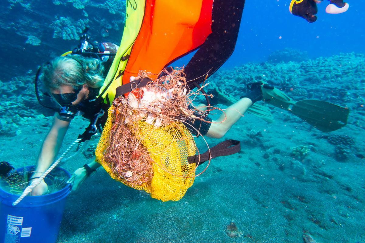 Ocean Defenders Divers haul out debris
