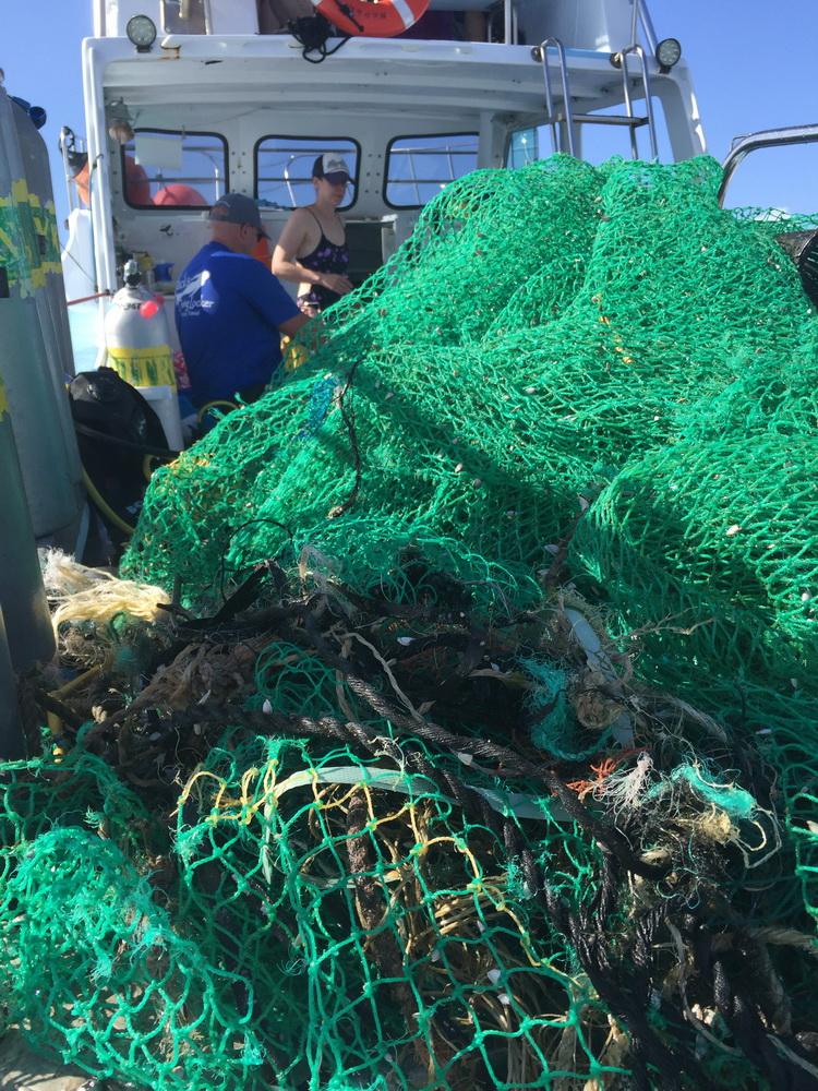 Ghost net hauled out of ocean