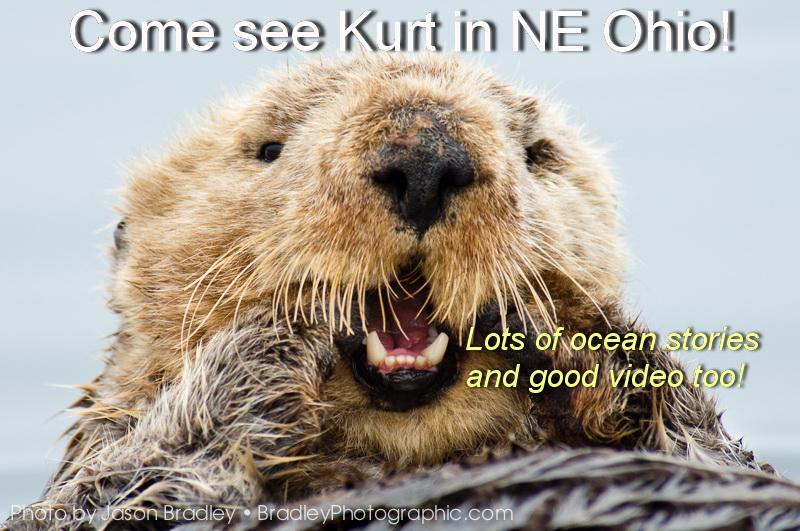 Captain Kurt otter invite