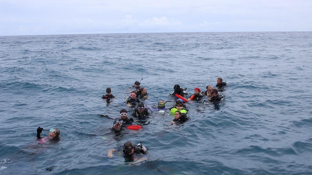 Divers at surface