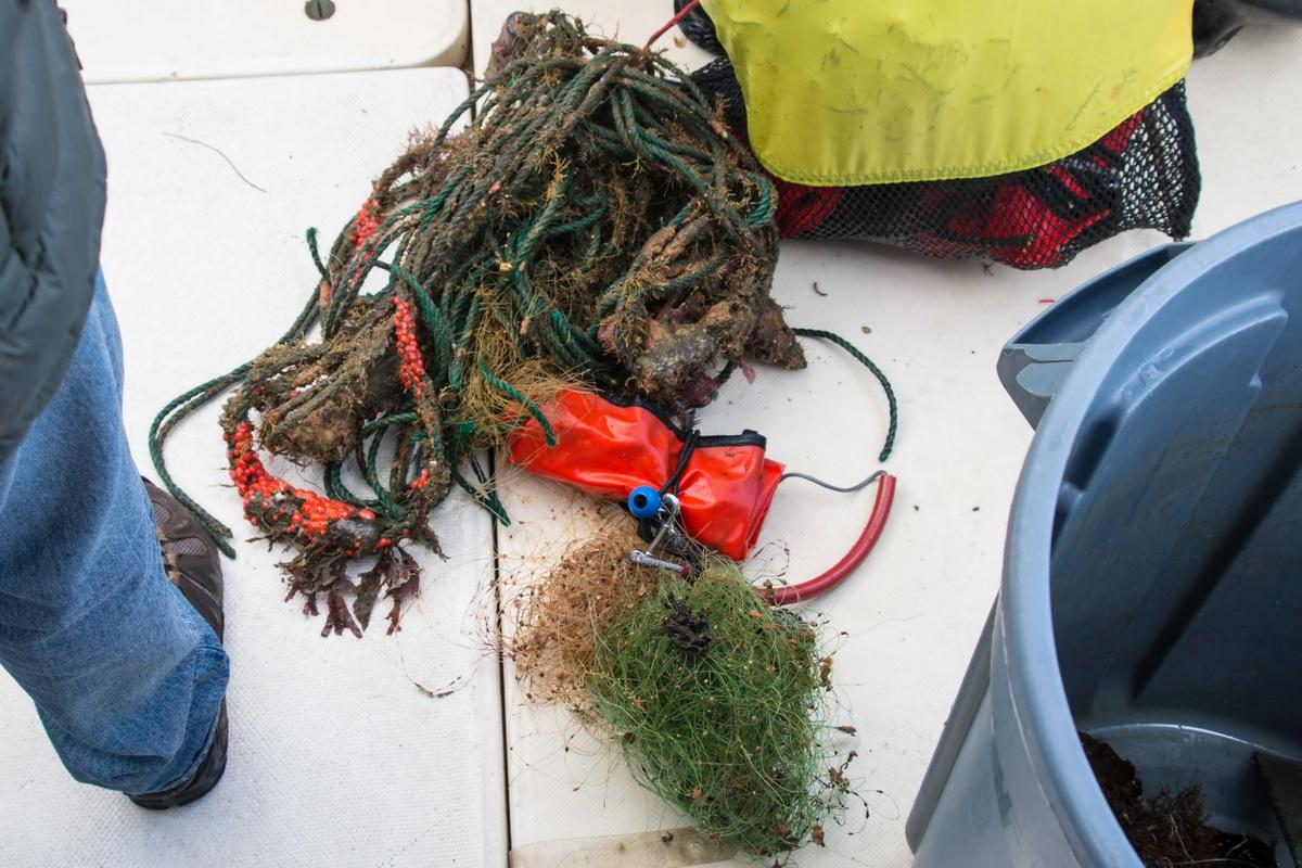 Recovered nets and fishing line