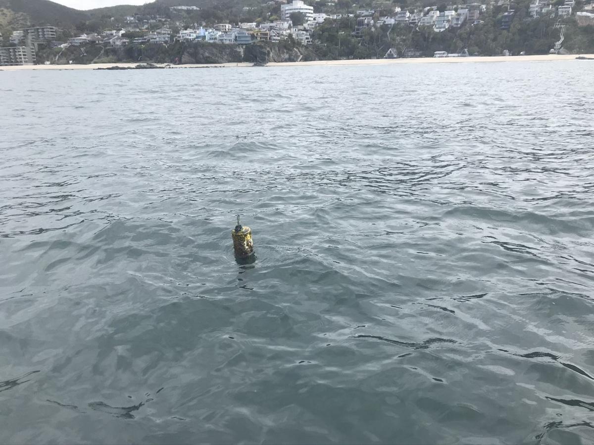 Trap buoy in water