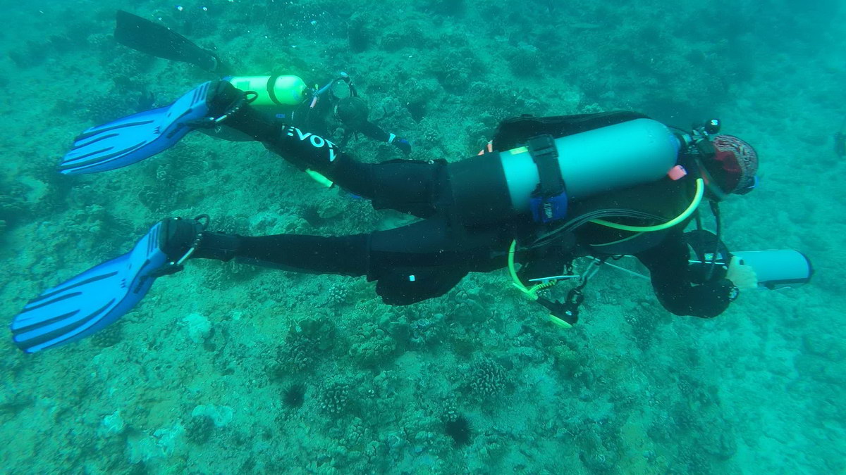 Ocean Defender divers in search of ghost geat