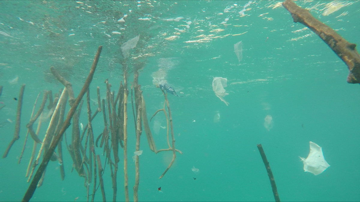 underwater plastic debris