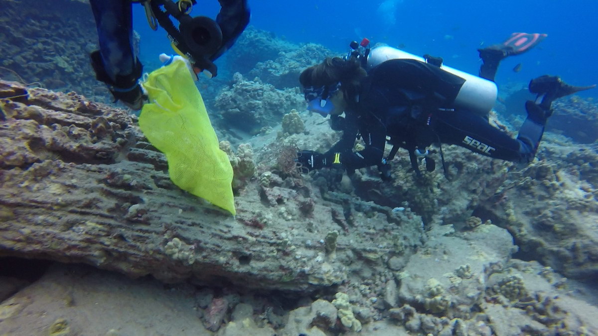 Ocean Defenders free coral from strangline fishing line