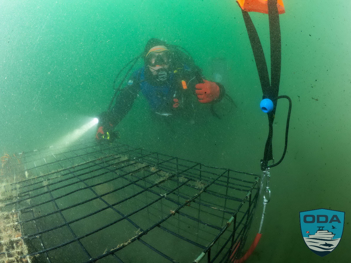 Diver volunteer Geoff and lobster trap