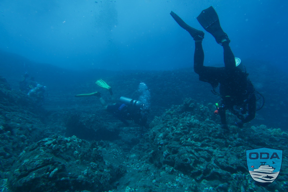 UW Divers removing lines