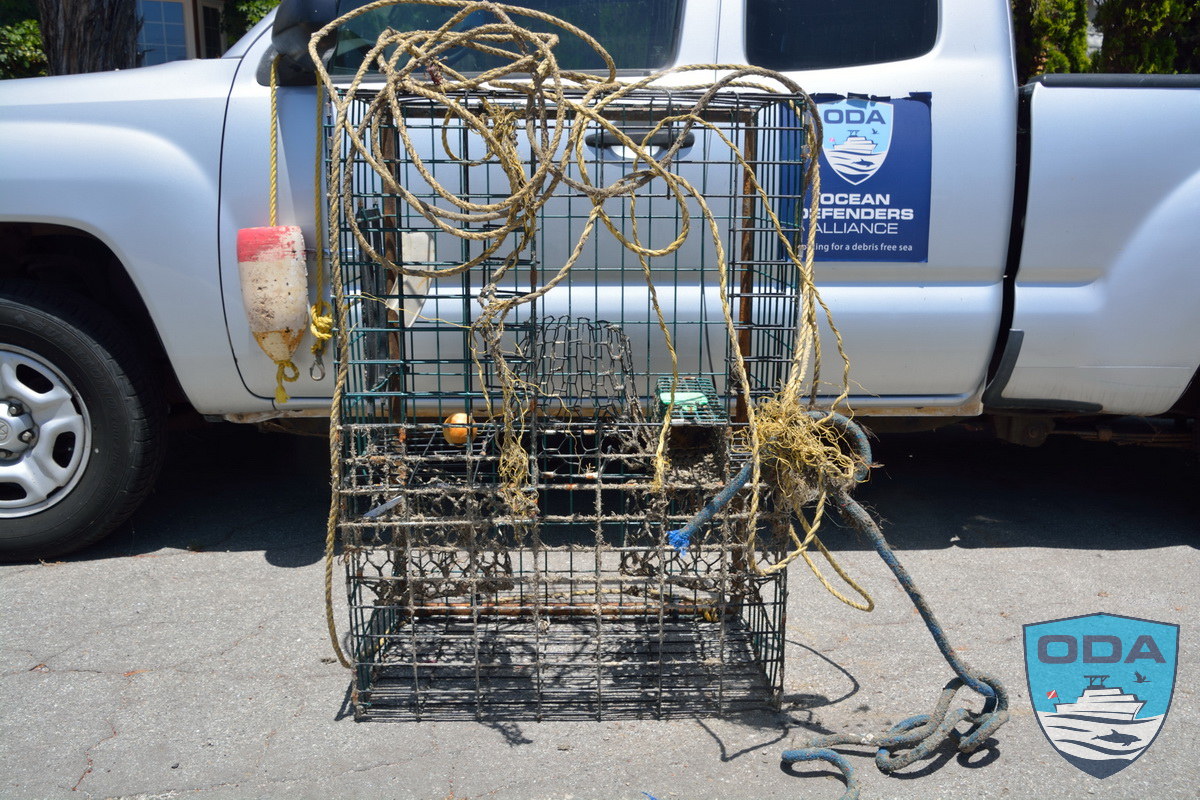 Recovered Lobster Trap